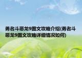 勇者斗惡龍9圖文攻略介紹(勇者斗惡龍9圖文攻略詳細情況如何)