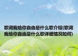 歌詞我給你自由是什么歌介紹(歌詞我給你自由是什么歌詳細(xì)情況如何)