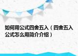 如何用公式四舍五入（四舍五入公式怎么用簡(jiǎn)介介紹）