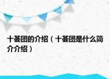 十薈團(tuán)的介紹（十薈團(tuán)是什么簡(jiǎn)介介紹）