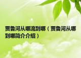 賈魯河從哪流到哪（賈魯河從哪到哪簡(jiǎn)介介紹）