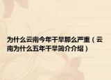 為什么云南今年干旱那么嚴重（云南為什么五年干旱簡介介紹）