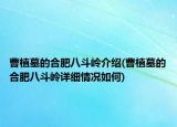 曹植墓的合肥八斗嶺介紹(曹植墓的合肥八斗嶺詳細情況如何)
