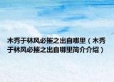 木秀于林風(fēng)必摧之出自哪里（木秀于林風(fēng)必摧之出自哪里簡(jiǎn)介介紹）