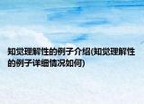 知覺理解性的例子介紹(知覺理解性的例子詳細(xì)情況如何)