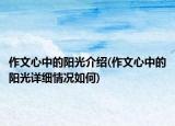 作文心中的陽光介紹(作文心中的陽光詳細(xì)情況如何)
