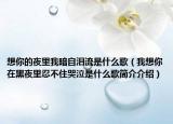 想你的夜里我暗自淚流是什么歌（我想你在黑夜里忍不住哭泣是什么歌簡(jiǎn)介介紹）