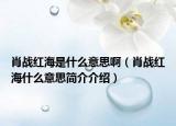 肖戰(zhàn)紅海是什么意思?。ㄐ?zhàn)紅海什么意思簡介介紹）