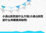 小湯山醫(yī)院是什么介紹(小湯山醫(yī)院是什么詳細情況如何)