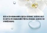 夏至未至中插曲有哪些(夏至未至歌曲匯總歌詞介紹介紹 夏至未至中插曲有哪些 夏至未至歌曲匯總歌詞介紹詳細情況如何)