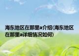 海東地區(qū)在那里a介紹(海東地區(qū)在那里a詳細(xì)情況如何)