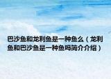 巴沙魚(yú)和龍利魚(yú)是一種魚(yú)么（龍利魚(yú)和巴沙魚(yú)是一種魚(yú)嗎簡(jiǎn)介介紹）