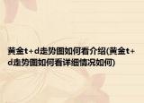 黃金t+d走勢(shì)圖如何看介紹(黃金t+d走勢(shì)圖如何看詳細(xì)情況如何)
