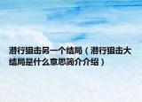 潛行狙擊另一個結(jié)局（潛行狙擊大結(jié)局是什么意思簡介介紹）