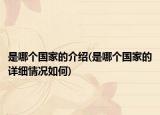 是哪個國家的介紹(是哪個國家的詳細情況如何)
