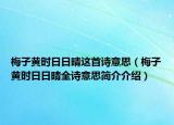 梅子黃時日日晴這首詩意思（梅子黃時日日晴全詩意思簡介介紹）