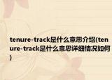 tenure-track是什么意思介紹(tenure-track是什么意思詳細情況如何)