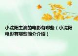 小沈陽主演的電影有哪些（小沈陽電影有哪些簡介介紹）