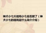 神犬小七大結局小七是否醒了（神犬小七的結局是什么簡介介紹）
