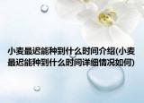 小麥最遲能種到什么時間介紹(小麥最遲能種到什么時間詳細(xì)情況如何)