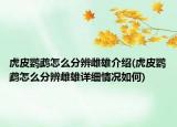 虎皮鸚鵡怎么分辨雌雄介紹(虎皮鸚鵡怎么分辨雌雄詳細(xì)情況如何)