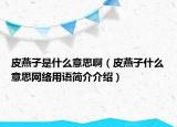 皮燕子是什么意思?。ㄆぱ嘧邮裁匆馑季W(wǎng)絡(luò)用語簡介介紹）