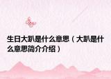 生日大趴是什么意思（大趴是什么意思簡介介紹）