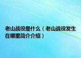 老山戰(zhàn)役是什么（老山戰(zhàn)役發(fā)生在哪里簡介介紹）
