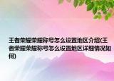 王者榮耀榮耀稱號怎么設(shè)置地區(qū)介紹(王者榮耀榮耀稱號怎么設(shè)置地區(qū)詳細情況如何)