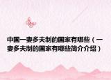 中國一妻多夫制的國家有哪些（一妻多夫制的國家有哪些簡介介紹）