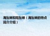 海鬣蜥和陸鬣蜥（海鬣蜥的特點簡介介紹）
