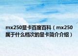 mx250顯卡百度百科（mx250屬于什么檔次的顯卡簡(jiǎn)介介紹）