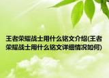 王者榮耀戰(zhàn)士用什么銘文介紹(王者榮耀戰(zhàn)士用什么銘文詳細(xì)情況如何)