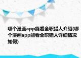 哪個漫畫app能看全職獵人介紹(哪個漫畫app能看全職獵人詳細(xì)情況如何)