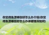 你覺得魚漂哪些好怎么辦介紹(你覺得魚漂哪些好怎么辦詳細情況如何)