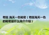 有匪 海天一色秘密（有匪海天一色的秘密是什么簡介介紹）