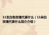 11支白色玫瑰代表什么（11朵白玫瑰代表什么簡介介紹）