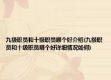 九級(jí)職員和十級(jí)職員哪個(gè)好介紹(九級(jí)職員和十級(jí)職員哪個(gè)好詳細(xì)情況如何)