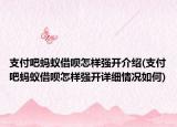 支付吧螞蟻借唄怎樣強開介紹(支付吧螞蟻借唄怎樣強開詳細情況如何)