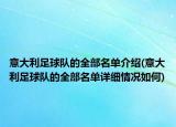 意大利足球隊的全部名單介紹(意大利足球隊的全部名單詳細情況如何)