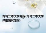 青島二本大學(xué)介紹(青島二本大學(xué)詳細(xì)情況如何)