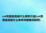 cvt無級變速是什么意思介紹(cvt無級變速是什么意思詳細(xì)情況如何)