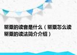 罌粟的讀音是什么（罌粟怎么讀 罌粟的讀法簡(jiǎn)介介紹）