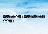 海里的魚介紹（海里有哪些魚簡介介紹）