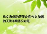 作文(墜落的天使介紹 作文 墜落的天使詳細情況如何)