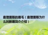 查理普斯的眉毛（查理普斯為什么叫斷眉簡介介紹）