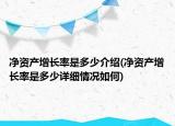 凈資產(chǎn)增長率是多少介紹(凈資產(chǎn)增長率是多少詳細(xì)情況如何)