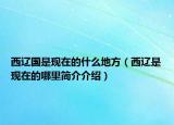 西遼國是現(xiàn)在的什么地方（西遼是現(xiàn)在的哪里簡介介紹）