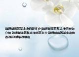 融通新藍(lán)籌基金凈值是多少(融通新藍(lán)籌基金凈值查詢(xún)介紹 融通新藍(lán)籌基金凈值是多少 融通新藍(lán)籌基金凈值查詢(xún)?cè)敿?xì)情況如何)