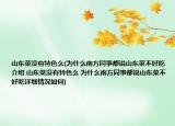 山東菜沒有特色么(為什么南方同事都說山東菜不好吃介紹 山東菜沒有特色么 為什么南方同事都說山東菜不好吃詳細(xì)情況如何)